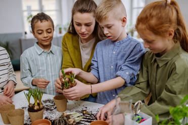 Young teacher learning her pupils how to take care about plants. - HPIF31557
