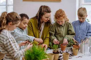 Young teacher learning her pupils how to take care about plants. - HPIF31559