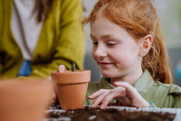 Happy little girl looking at growing plant in a ceramics pot. - HPIF31563