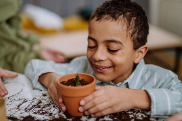 Glücklicher kleiner Junge betrachtet eine wachsende Pflanze in einem Keramiktopf. - HPIF31564