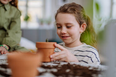 Glückliches kleines Mädchen betrachtet eine wachsende Pflanze in einem Keramiktopf. - HPIF31565