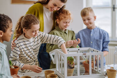 Young teacher learning her pupils how to take care about plants. - HPIF31568