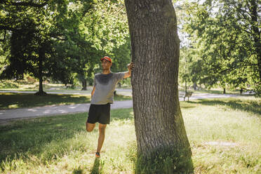 Ein Mann macht Dehnübungen in einem sonnigen Park, wobei er einen Baum als Stütze benutzt, um seine Beweglichkeit und seine allgemeine Gesundheit zu verbessern - MASF40992