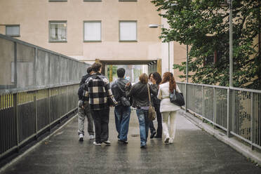 Zwei Freunde gehen zusammen auf einem Weg, von hinten gesehen - MASF41269