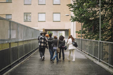 Freunde im Teenageralter schlendern sorglos über den Fußweg und genießen die Gesellschaft des anderen - MASF41270