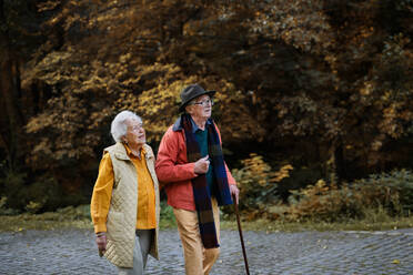 Elderly couple enjoying a leisurely stroll in the park, surrounded by the beautiful colors of autumn - HPIF31650