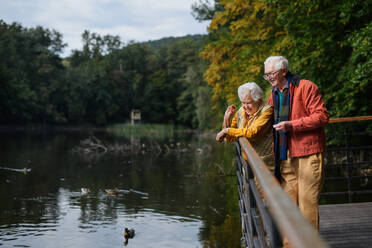 Fröhliches älteres Ehepaar bei einem gemütlichen Herbstspaziergang am See, das innehält, um die Landschaft zu genießen - HPIF31656