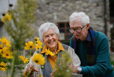 Ein lächelndes älteres Paar genießt einen gemütlichen Herbstspaziergang und hält an, um mit den leuchtenden Blüten zu posieren - HPIF31699