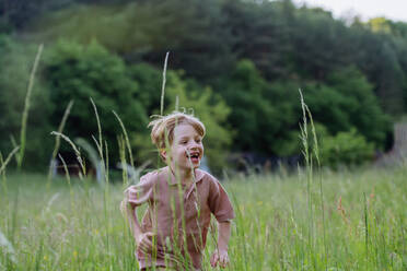 Fröhliches Kind tobt und sprintet durch das üppige grüne Feld - HPIF31846