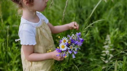 A close-up shot of a young girl gathering wildflowers in a lush meadow. - HPIF31854