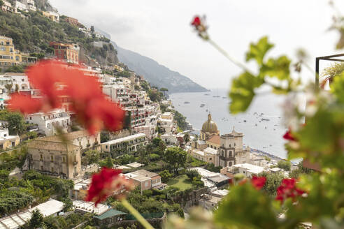 Italien, Kampanien, Positano, Bergdorf an der Amalfiküste mit Blumen im Vordergrund - MMPF01063