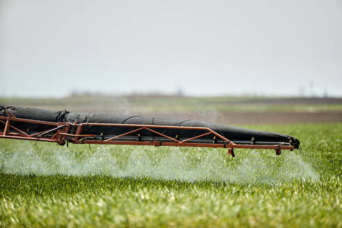 Serbien, Provinz Vojvodina, Traktor sprüht Herbizid in einem Weizenfeld im Frühling - NOF00808