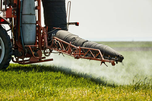 Serbien, Provinz Vojvodina, Traktor sprüht Herbizid in einem Weizenfeld im Frühling - NOF00809