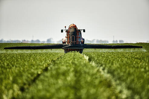 Serbia, Vojvodina Province, Tractor spraying herbicide in vast green wheat field - NOF00812