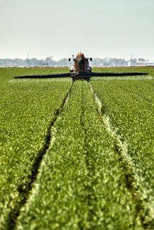 Serbien, Provinz Vojvodina, Traktor sprüht Herbizid in ein großes grünes Weizenfeld - NOF00813