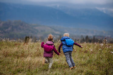 Rear view of little children runing at an autumn meadow. - HPIF32101
