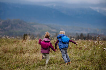 Rückansicht von kleinen Kindern, die auf einer Herbstwiese rennen. - HPIF32101