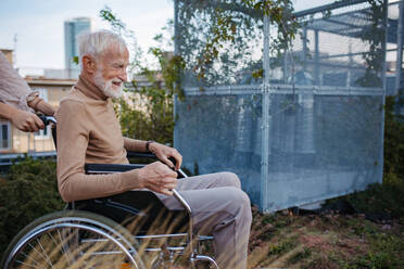 Porträt eines älteren Mannes im Rollstuhl, der draußen in einem städtischen Garten sitzt und einen warmen Herbsttag genießt. Porträt eines eleganten älteren Mannes mit grauen Haaren und Bart auf einem Dachgarten in der Stadt. - HPIF32415