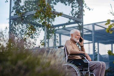 Portrait of senior man in a wheelchair sitting outside in an urban garden, making call with smartphone. Portrait of a elegant elderly man with gray hair and beard in rooftop garden in the city at autumn. - HPIF32418