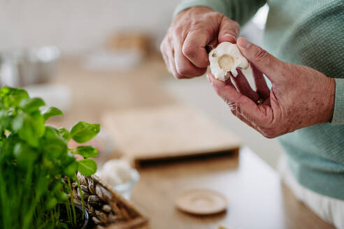 Close up of senior man peeling off a garlic. - HPIF32451