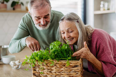 Senior couple smelling fresh herbs during cooking in their kitchen. - HPIF32455