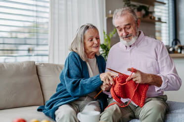 Senior couple knitting together in the living room. - HPIF32499