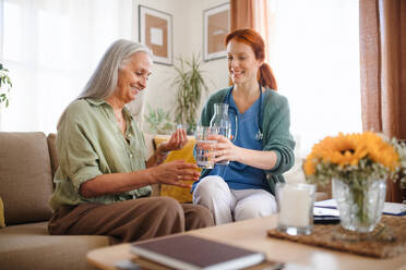 Nurse cosulting with senior woman her health condition and taking pills, at her home. - HPIF32523