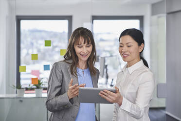 Glückliche Geschäftsfrauen, die gemeinsam über einen Tablet-PC im Büro diskutieren - RORF03656