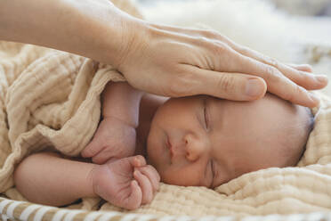 Loving mother gently touching newborn son wrapped in blanket - NDEF01476