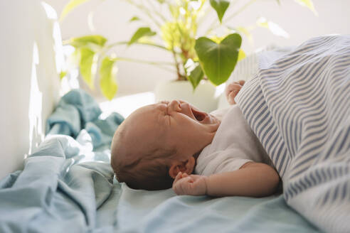 Neugeborenes Baby Junge liegend und gähnend unter Decke im Bett zu Hause - NDEF01478