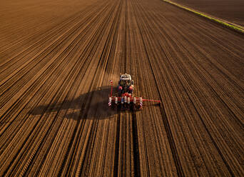 Serbia, Vojvodina Province, Aerial view of tractor sowing seeds in plowed corn field - NOF00817