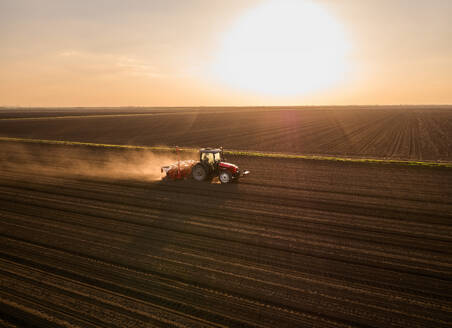 Serbia, Vojvodina Province, Aerial view of tractor sowing seeds at sunset - NOF00824