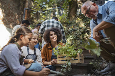 Freiwillige Helfer bei einem Nachbarschaftsprojekt pflanzen Kräuter im Gemeinschaftsgarten - HAPF03657