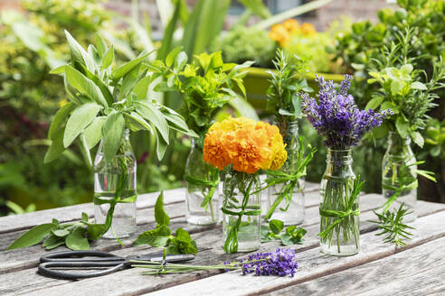 Kräuter und essbare Blumen im Balkongarten angebaut - GWF07950