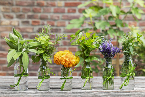 Kräuter und essbare Blumen im Balkongarten angebaut - GWF07951