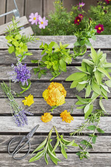 Kräuter und essbare Blumen auf dem hölzernen Balkontisch - GWF07953