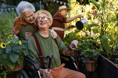 Porträt eines älteren Ehepaars, das sich um Gemüsepflanzen in einem städtischen Garten kümmert. Rentner, die gemeinsam im Gemeinschaftsgarten ihrer Wohnanlage gärtnern. Bewohner eines Pflegeheims bei der Gartenarbeit im Freien. - HPIF32579