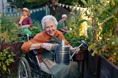 Nahaufnahme einer älteren Frau im Rollstuhl, die sich um eine Tomatenpflanze im städtischen Garten kümmert. Ältere Frau bewässert Pflanzen in Hochbeeten im Gemeinschaftsgarten in ihrer Wohnanlage. Pflegeheimbewohner bei der Gartenarbeit im Freien. - HPIF32588