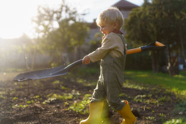 Little boy with a spade working in garden during autumn day. - HPIF32618