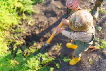 Little boy working in a garden during autumn day. - HPIF32620