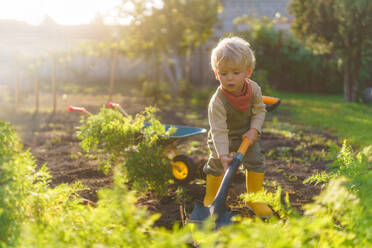 Little boy with a spade working in garden during autumn day. - HPIF32627