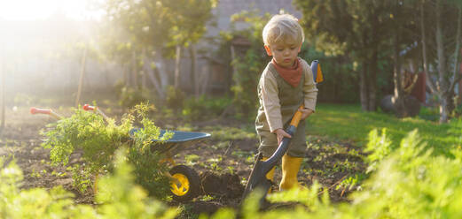 Little boy with a spade working in garden during autumn day. - HPIF32628