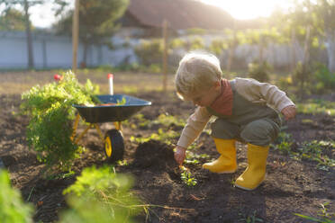 Little boy working in a garden during autumn day. - HPIF32630