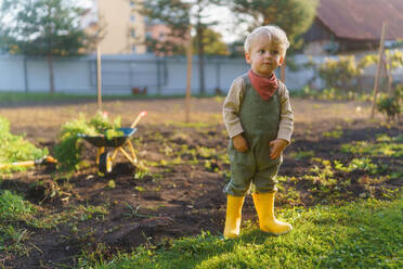 Little boy with a wheelbarrow working in garden during autumn day. - HPIF32631