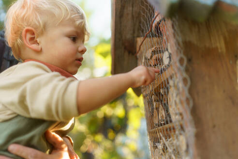 Little boy looking at insect house. Concept of home education, ecology gardening and sustainable lifestyle. - HPIF32640