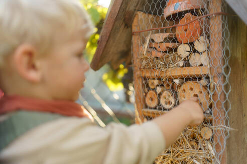 Little boy looking at insect house. Concept of home education, ecology gardening and sustainable lifestyle. - HPIF32641