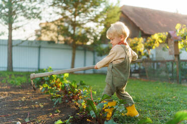 Little boy with a hoe working in garden during autumn day. - HPIF32648