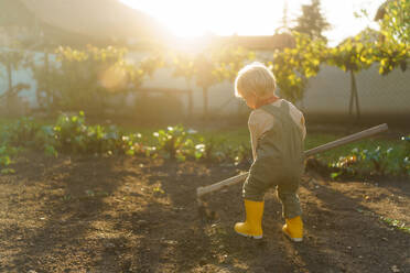 Little boy with a hoe working in garden during autumn day. - HPIF32649