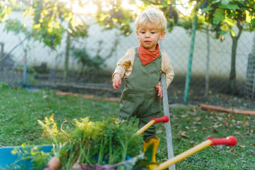Little boy with a wheelbarrow posing in garden during autumn day. - HPIF32651