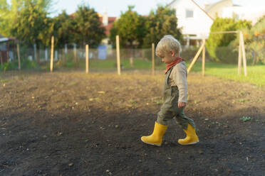 Little child walking in their agriculture garden. - HPIF32667